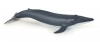 [피규어]파포56041-아기 흰긴수염고래
