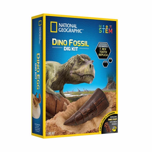 [내셔널지오그래픽]밤나무-화석발굴 공룡이빨
